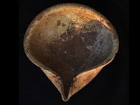 Iron Age I-IIA Oil Lamp