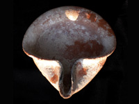 Iron Age IIBC Oil Lamp